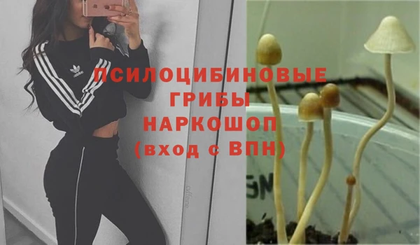не бодяженный Магадан
