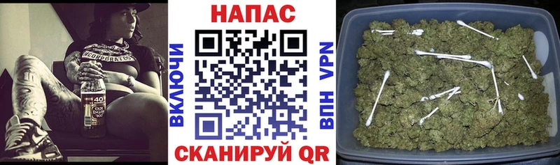 Канабис конопля  Жуков 